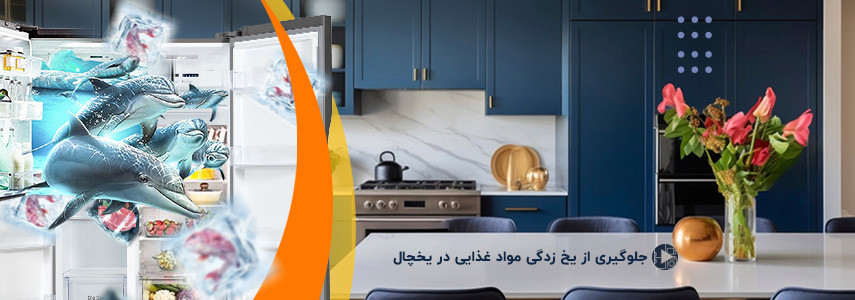 جلوگیری از یخ‌زدگی مواد غذایی در یخچال