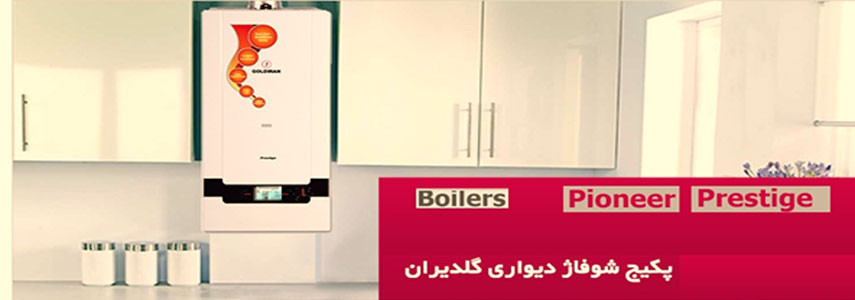 چگونه به بهترین شکل از پکیج گلدیران خود نگهداری کنیم؟