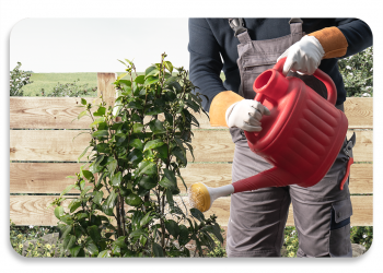 مشتری مداری