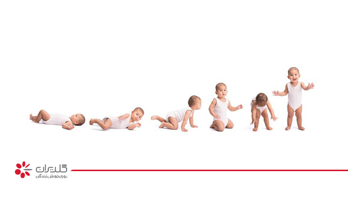 جدول مراقبت از نوزاد