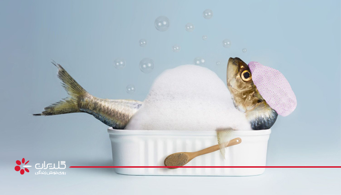 گرفتن بوی زهم ماهی