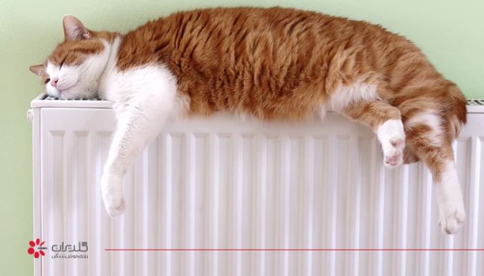 مشکلات گرمایش آب مصرفی و رادیاتورها در فصل زمستان