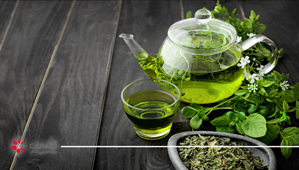 چای سبز یکی از بهترین دمنوش های گیاهی