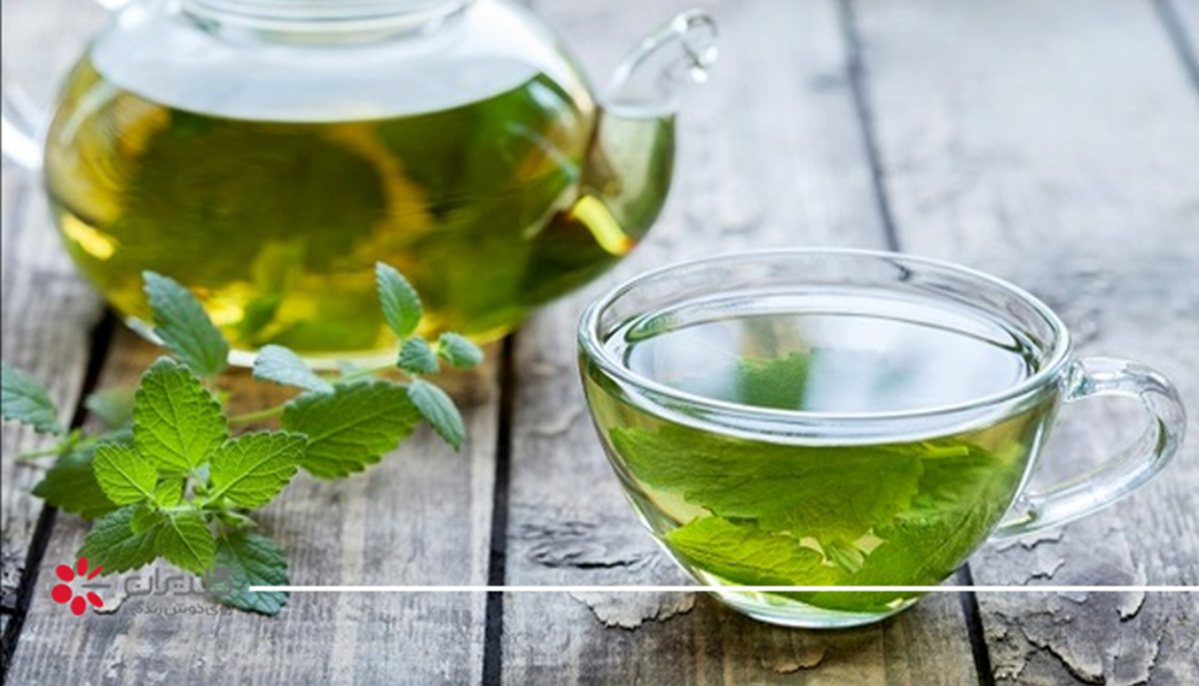 خواص و طرز تهیه پونه کوهی از بهترین دمنوش ها