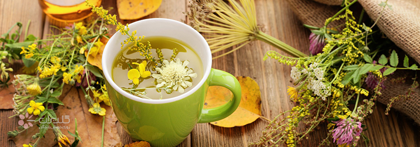 لیست انواع دمنوش