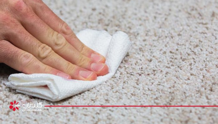 تمیز&zwnj;کردن لکه انار&nbsp;